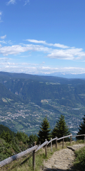 banner_right